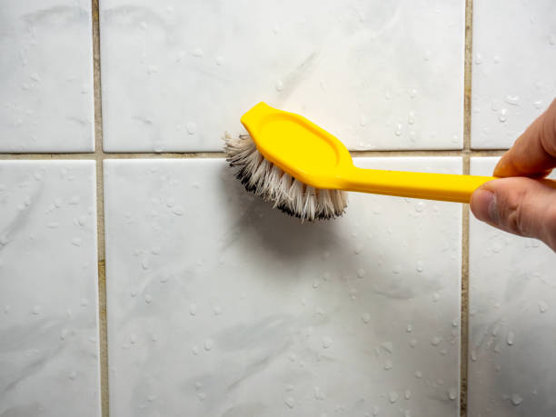 Best Mold Removal Company Near Me  in Corte Madera, CA