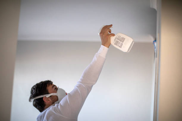 Best Attic Mold Removal  in Corte Madera, CA