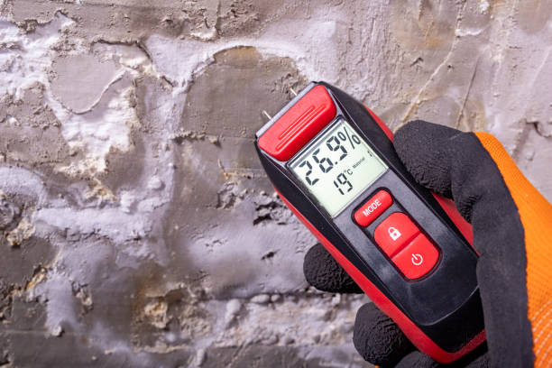 Best Mold Cleaning Services  in Corte Madera, CA