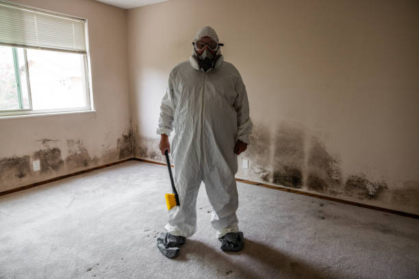 Best Certified Mold Removal  in Corte Madera, CA